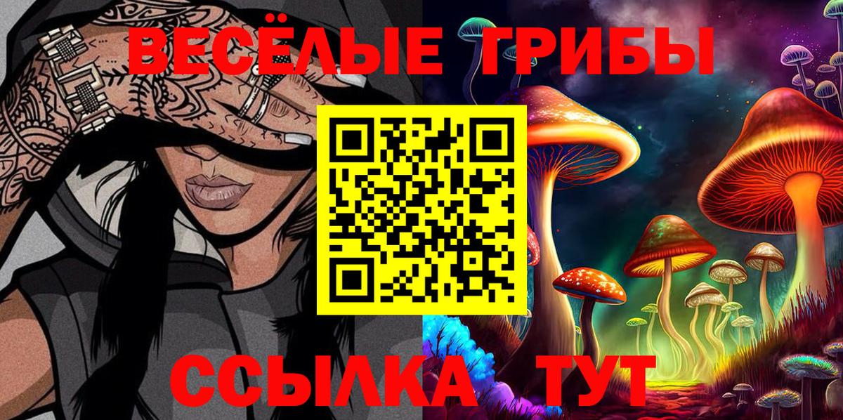 Псилоцибиновые грибы мухоморы Домодедово
